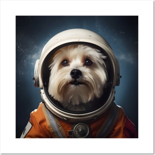 Astro Dog - Havanese Posters and Art